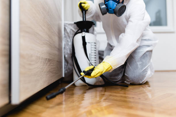 Best Affordable Pest Control Services  in Waukomis, OK