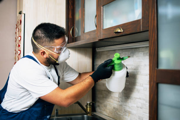 Best Local Pest Control Services  in Waukomis, OK