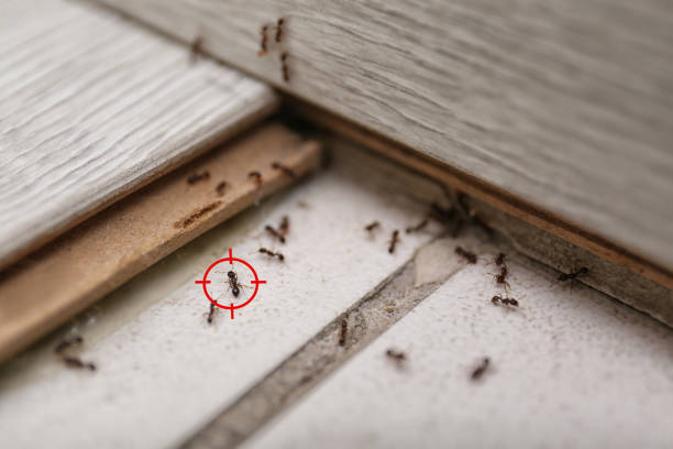 Best Wildlife Control Services  in Waukomis, OK