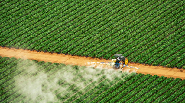 Best Ant Control Services  in Waukomis, OK