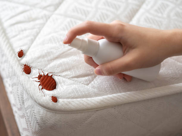 Best Flea Control Services  in Waukomis, OK