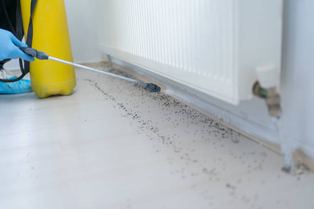 Best Termite Control Services  in Waukomis, OK