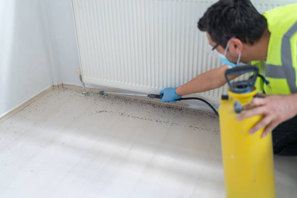 Best Bed Bug Extermination  in Waukomis, OK