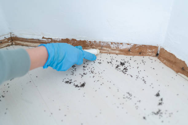 Best Exterminator Services  in Waukomis, OK