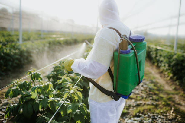 Best Affordable Pest Control Services  in Waukomis, OK